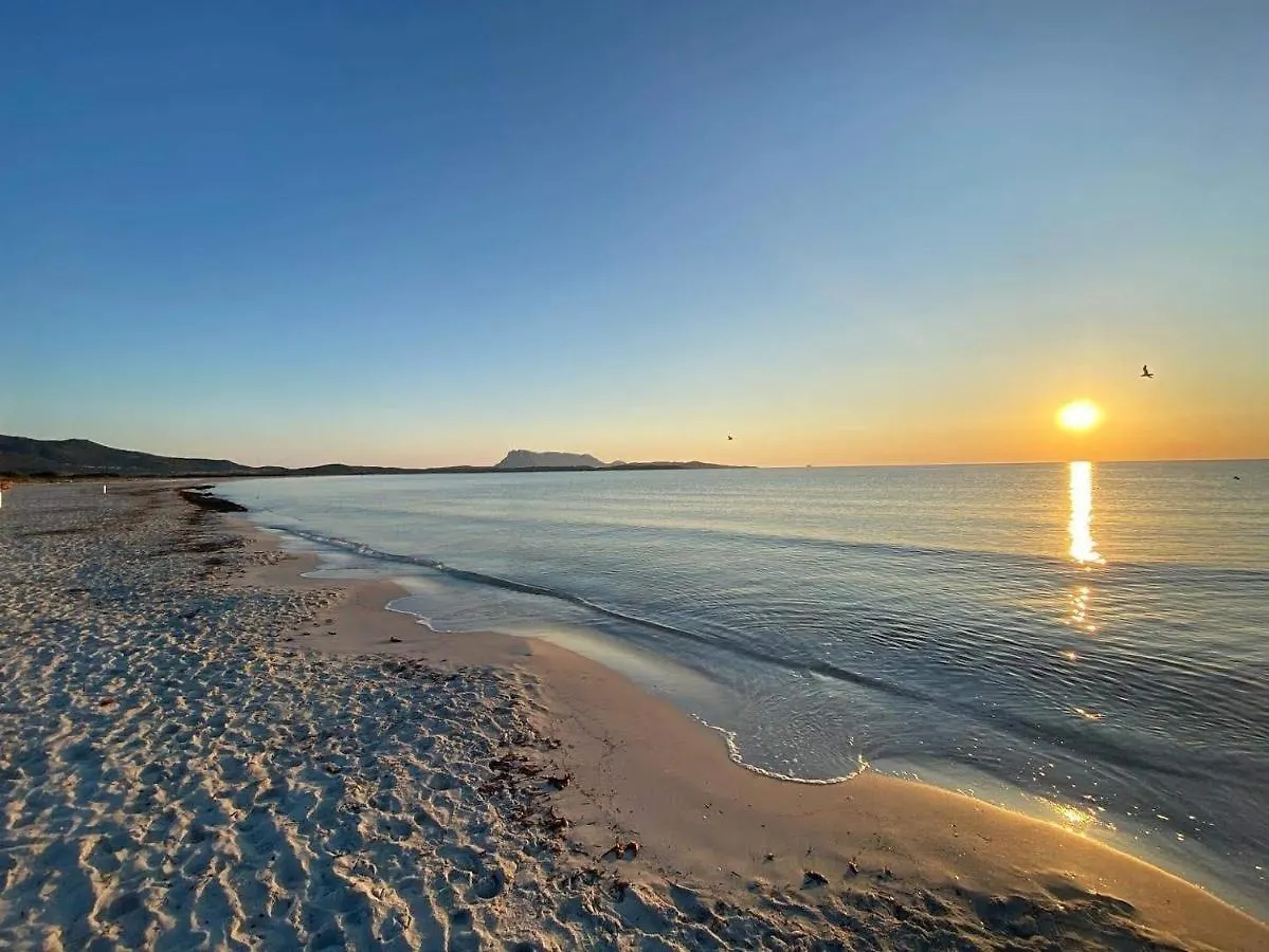 Bed & Breakfast B&B Florian San Teodoro
